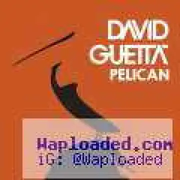 David Guetta - Pelican (CDQ)